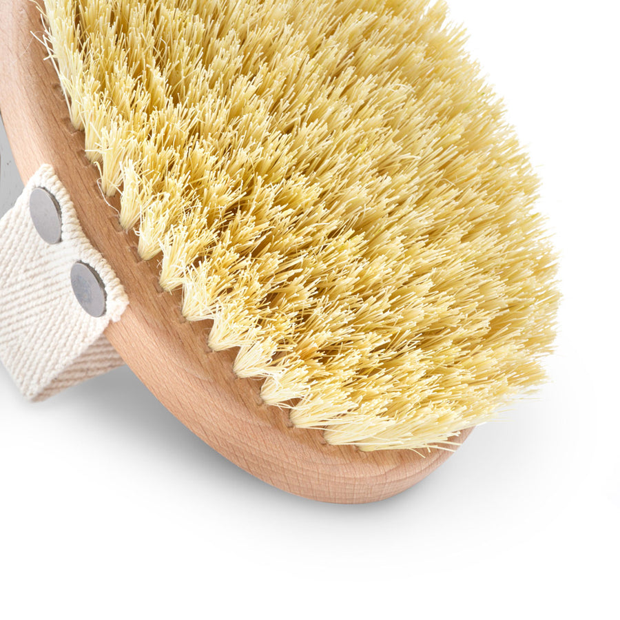 Dry body massage brush - tampico fiber, No.1P